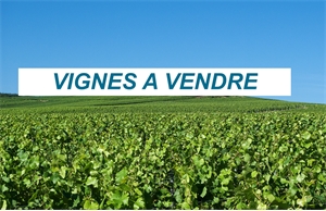 terrain à la vente -   02310  CHARLY-SUR-MARNE, surface 3140 m2 vente terrain - APR662638